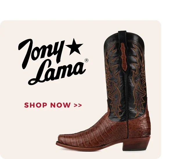ANDERSON BEAN | SHOP NOW >>