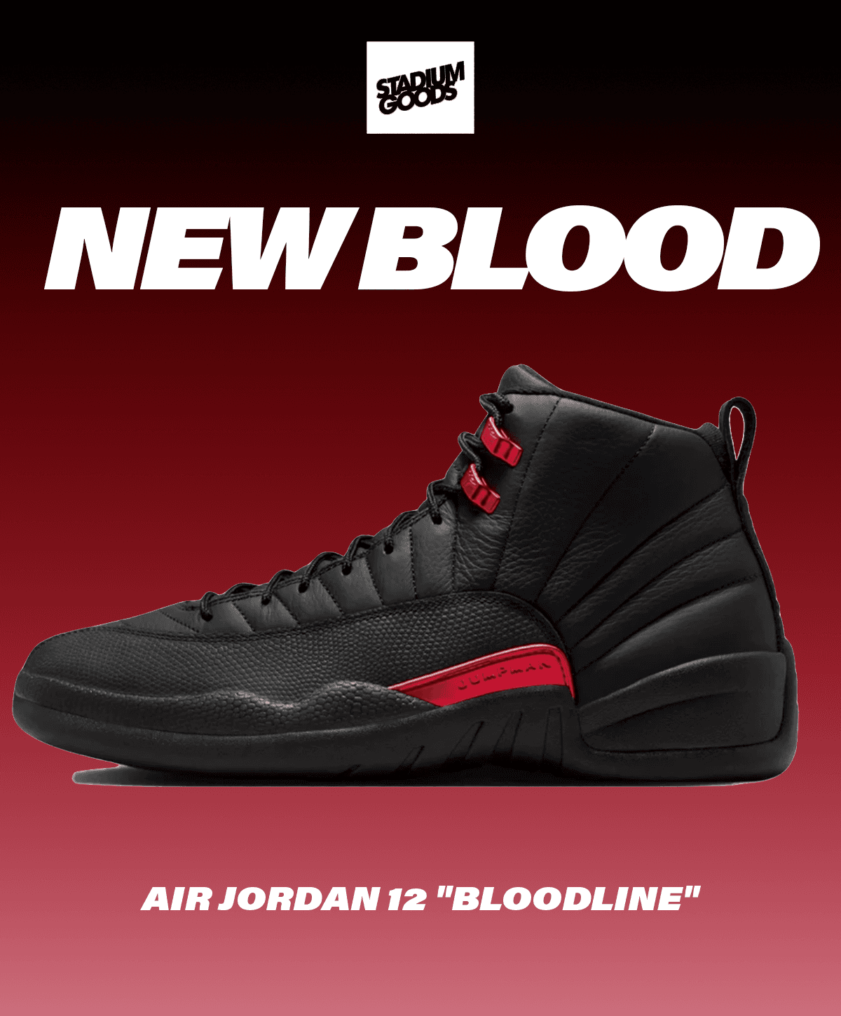 AJ12 