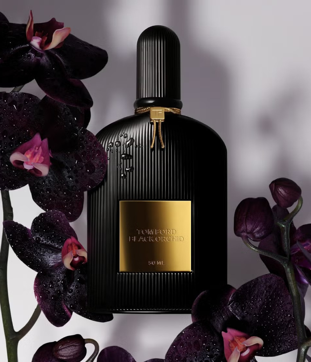 Shop All TOM FORD
