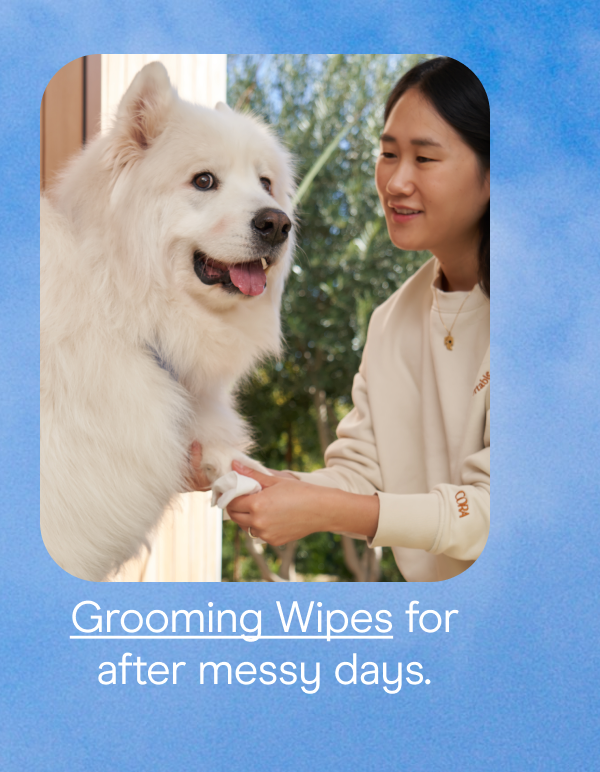 grooming wipes for after messy days.
