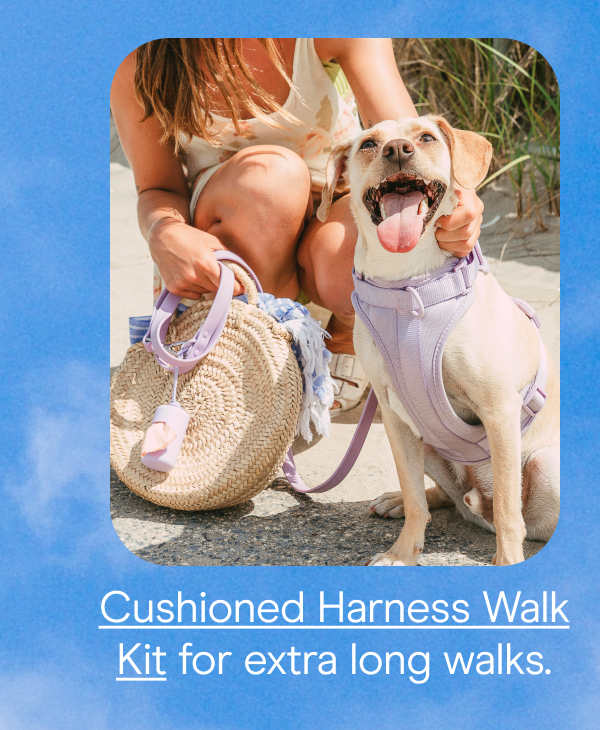 cushioned harness walk kit