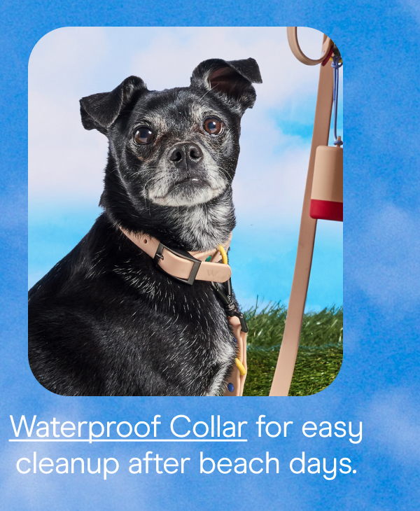 waterproof collar for easy cleanup after beach days.