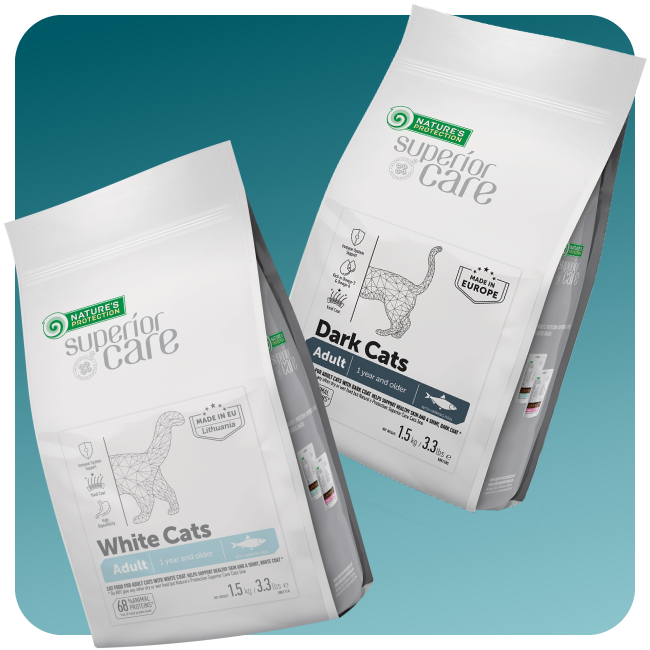 Cat Dry Food