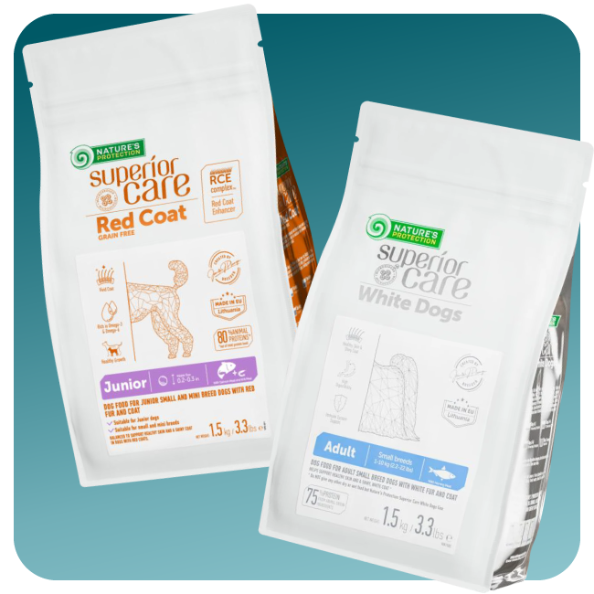 Dog Dry Food