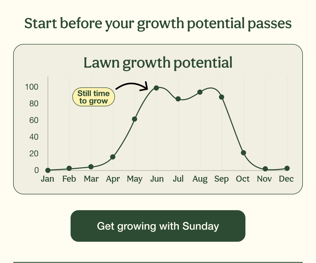 Start before your growth potential passes | Get growing with Sunday