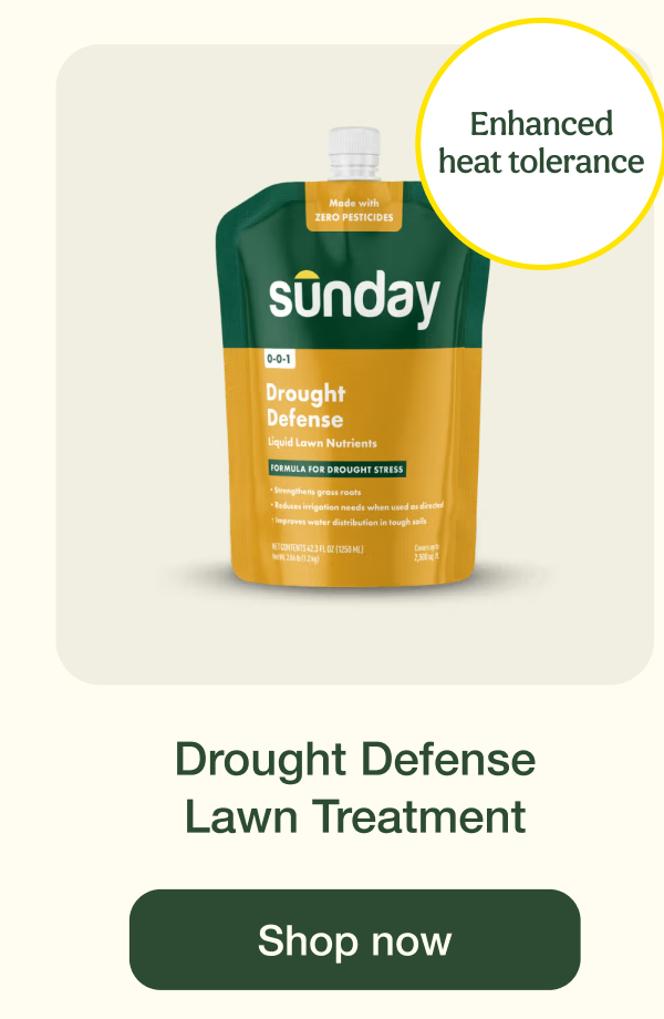 Drought Defense Lawn Treatment | Shop now