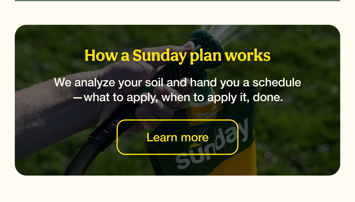 How a Sunday plan works | Learn more