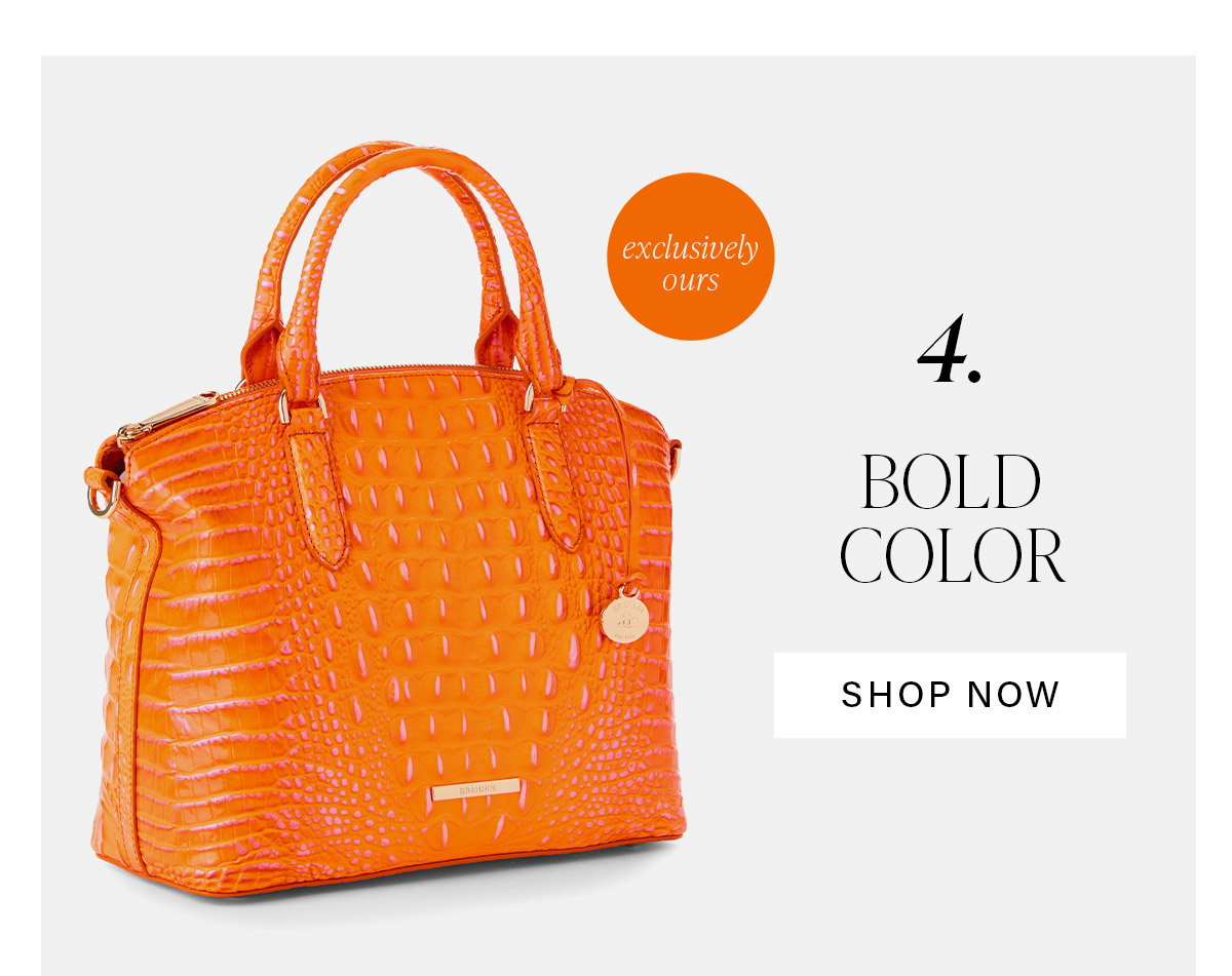 4. BOLD COLOR SHOP NOW