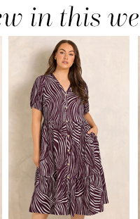 EVANS Curve Berry Red Button Through Dress