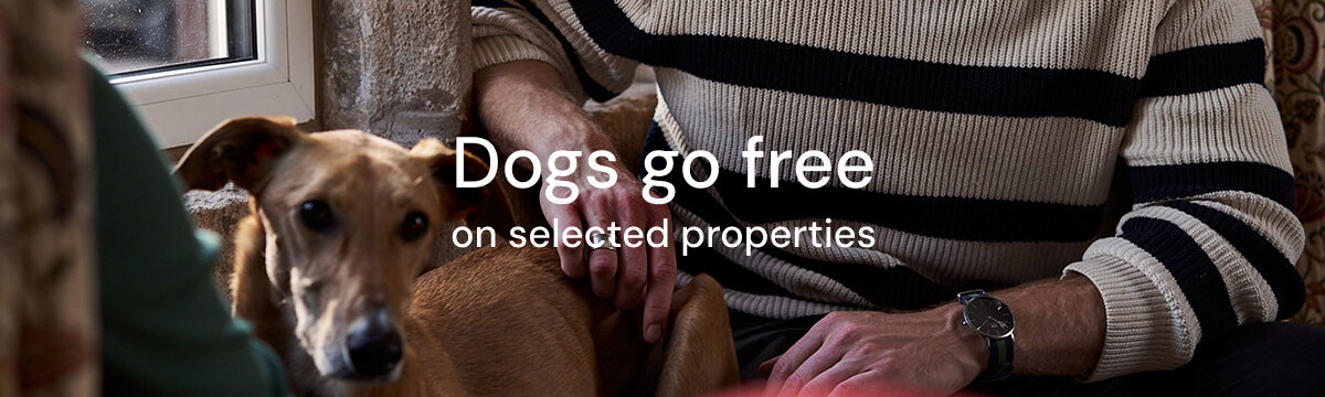 Dogs Go Free