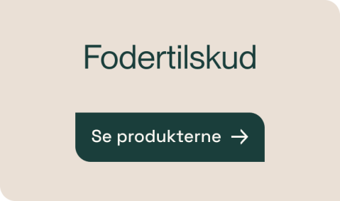 Fodertilskud