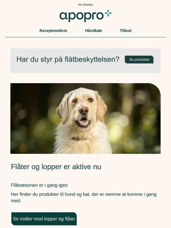 Er dit kæledyr klar til flåtsæsonen?