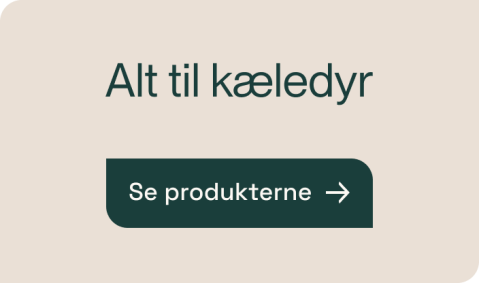 Alt til kæledyr