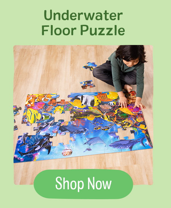 Underwater Floor Puzzle 
