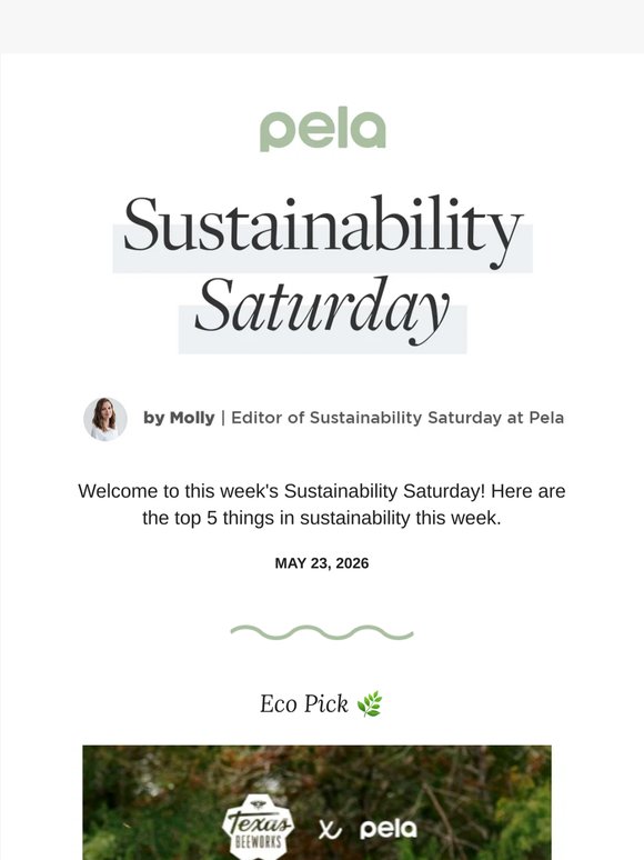Updated Ethical Shopping Alternatives | Sustainability Saturday