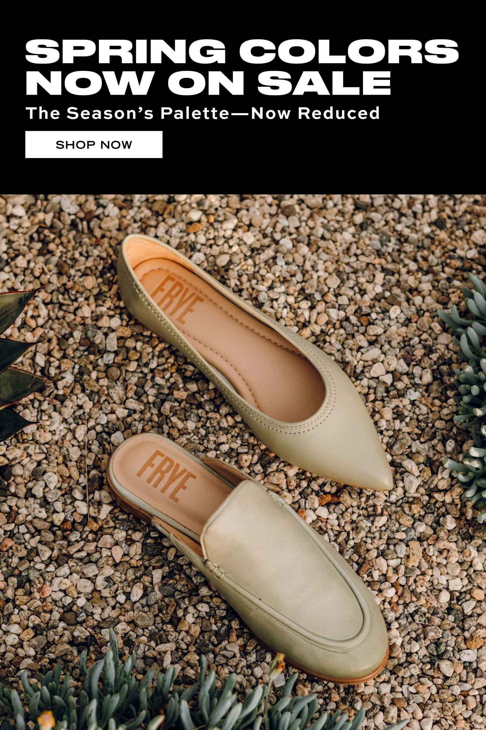 SHOP NOW