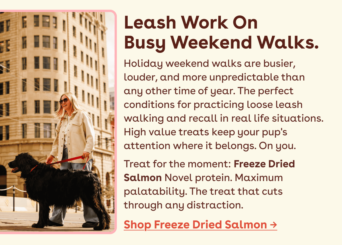 Freeze dried salmon 
