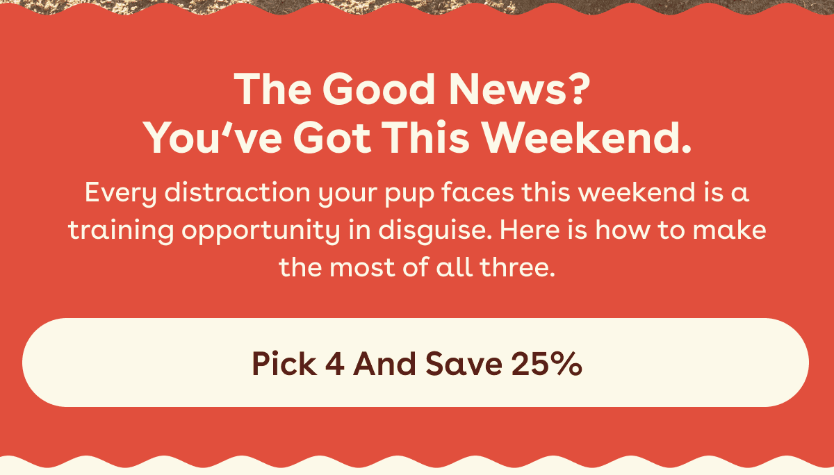 Pick 4 and save!