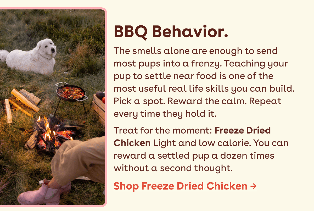 Freeze dried chicken
