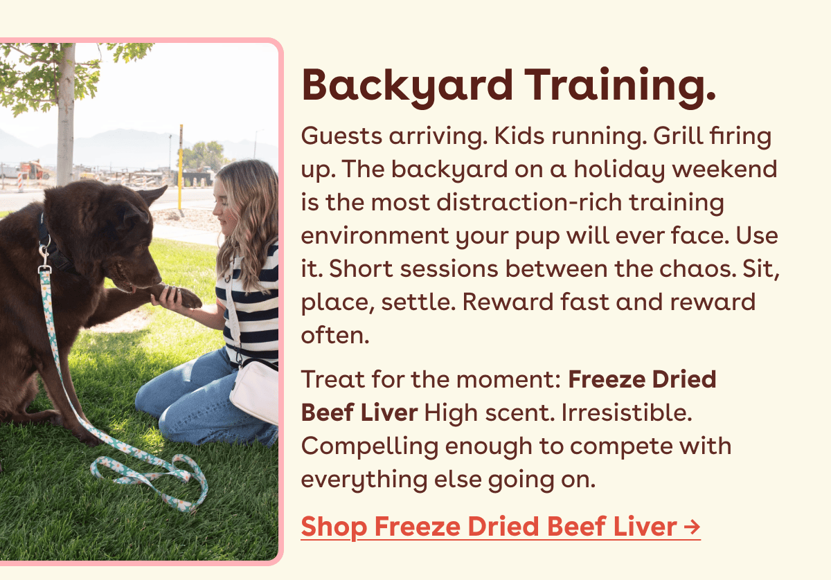Shop freeze dried beef liver
