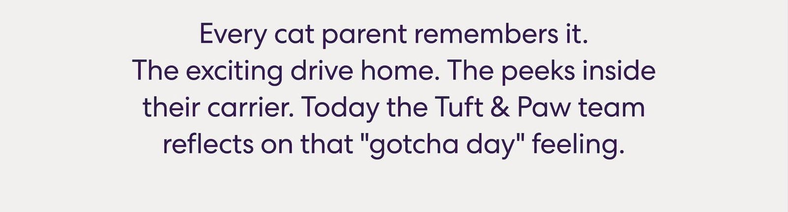 Every cat parent remembers it. The exciting drive home. The peeks inside their carrier. The moment you thought, “Okay, this is my cat now."