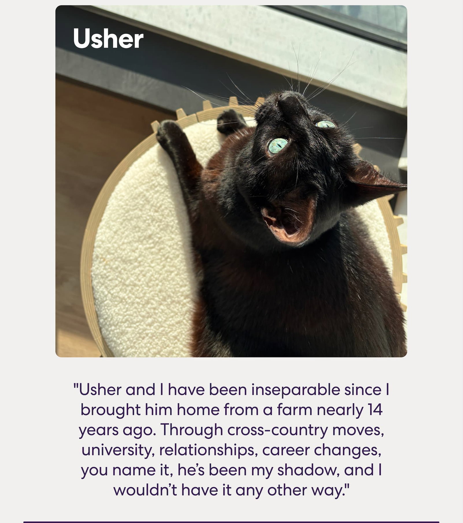 "Usher and I have been inseparable since I brought him home from a farm nearly 14 years ago. Through cross-country moves, university, relationships, career changes, you name it, he’s been my shadow, and I wouldn’t have it any other way."