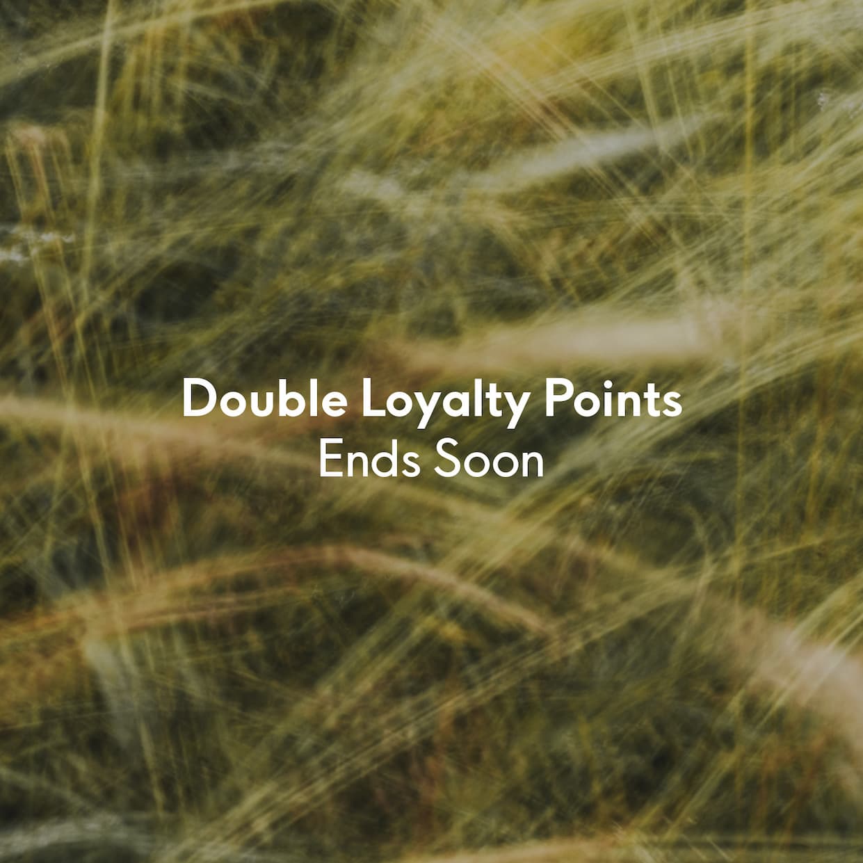 Double Points