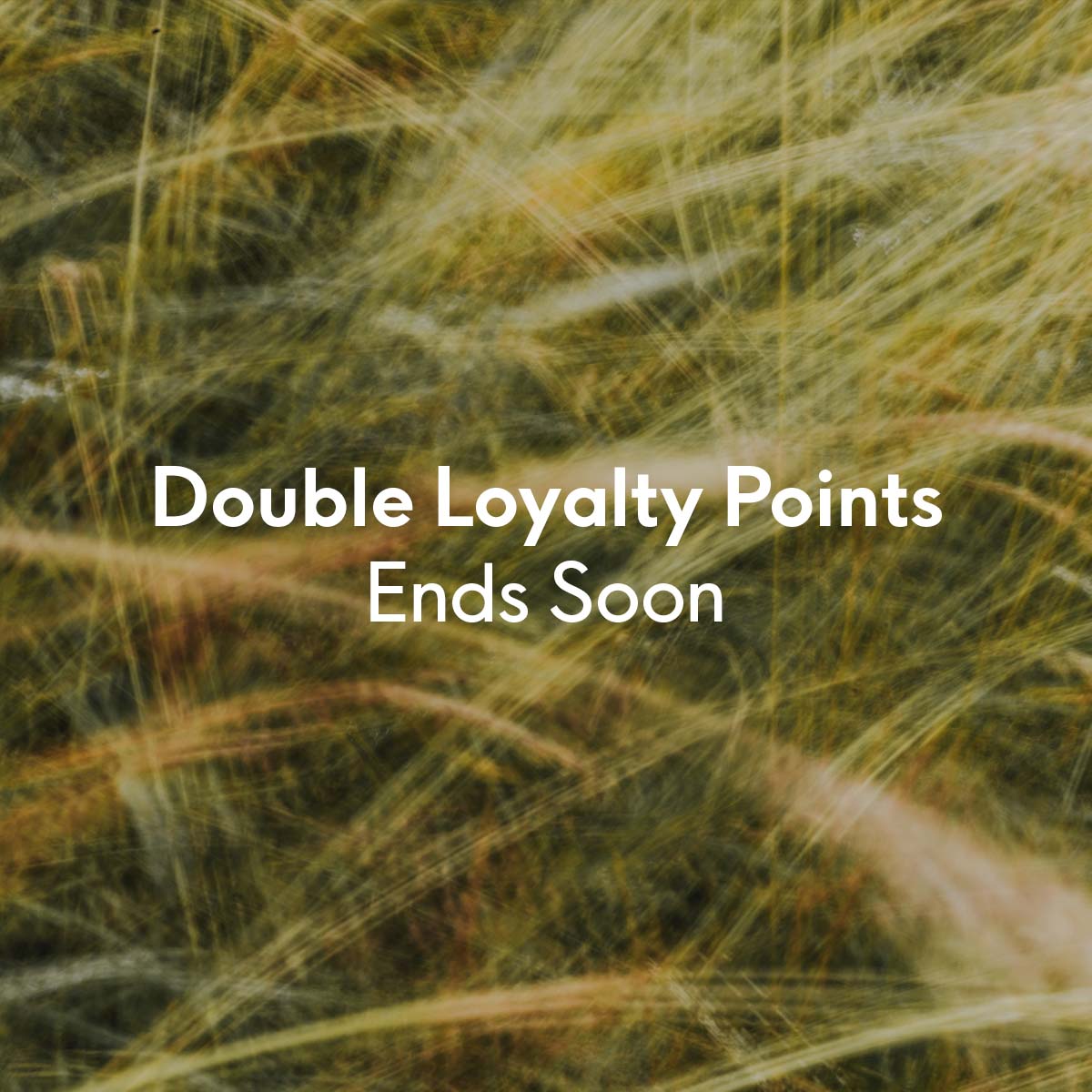Double Points