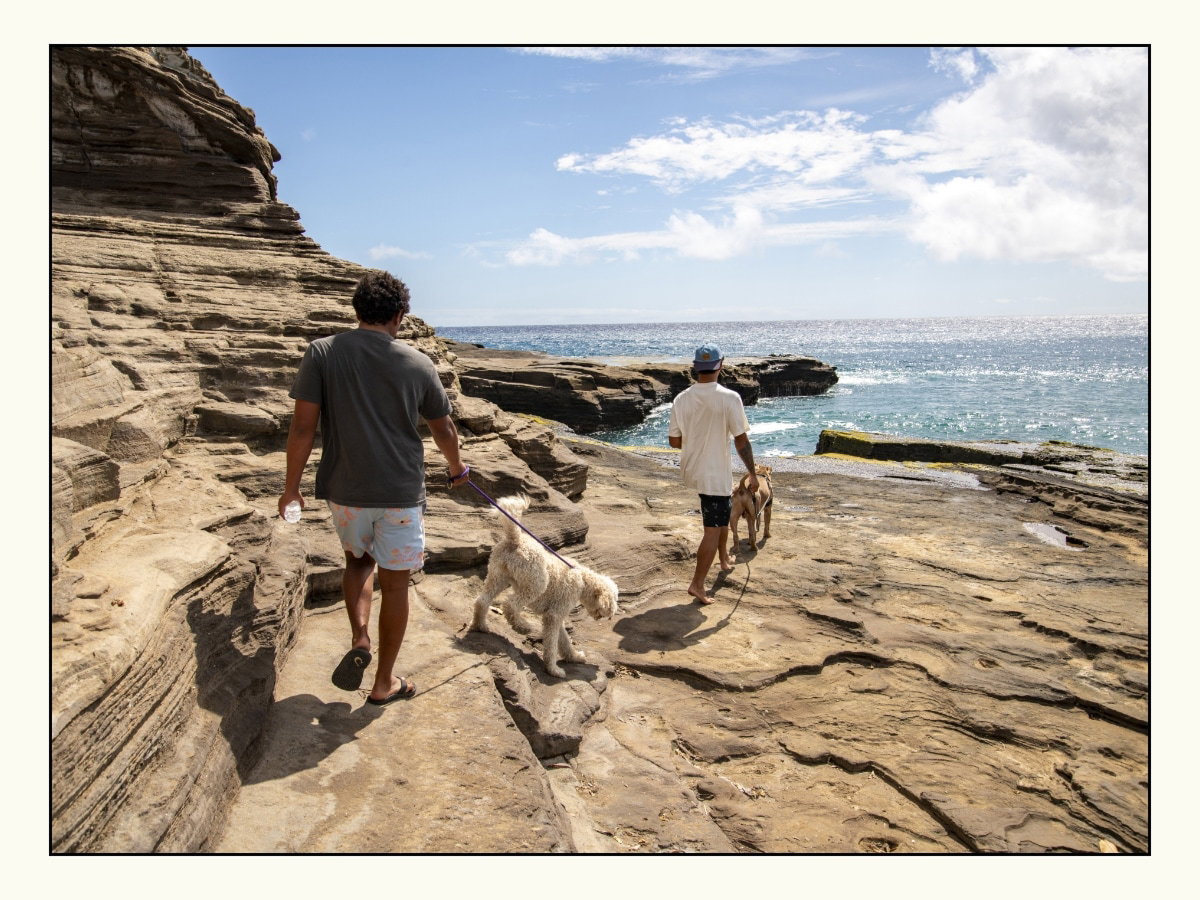 Life is better in boardshorts - Billabong