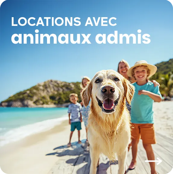 Locations animaux admis