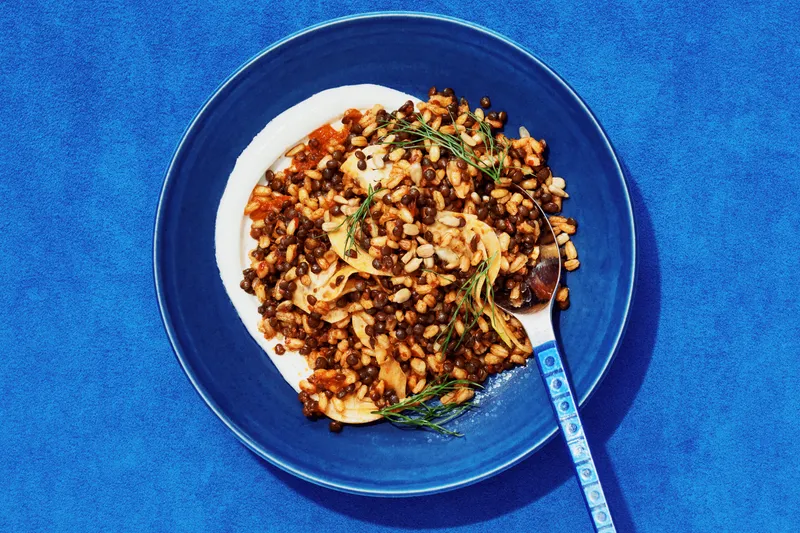 A bowl of spiced barley and lentils with sliced fennel, a harissa dressing, and fennel fronds.