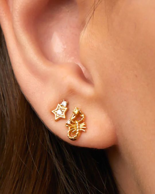 Stud Earrings