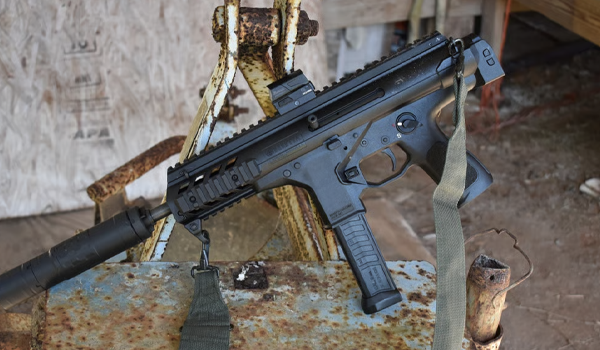 DISTRICT OF COLUMBIA SUPPRESSOR BAN CHALLENGED BY DOJ