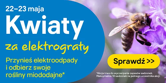 Kwiaty za elektrograty