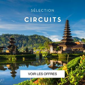 circuits