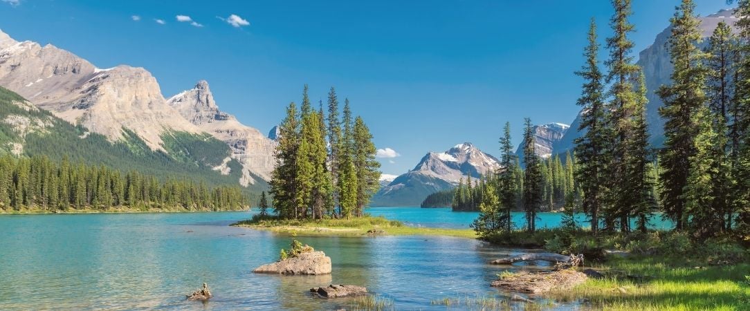 Ouest Canadien : des forêts du Pacifique aux Rocheuses