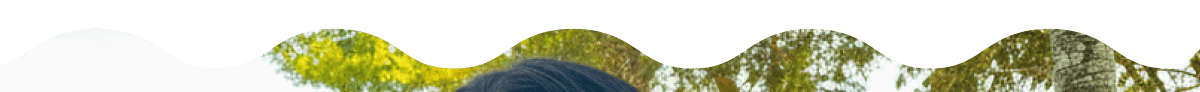 Decorative image