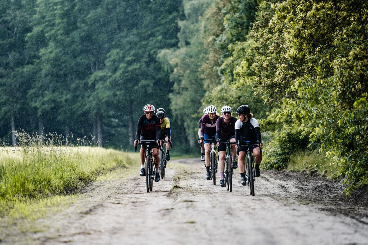 Shred Canyon Gravel Bikes