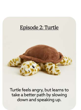 Shop Turtle