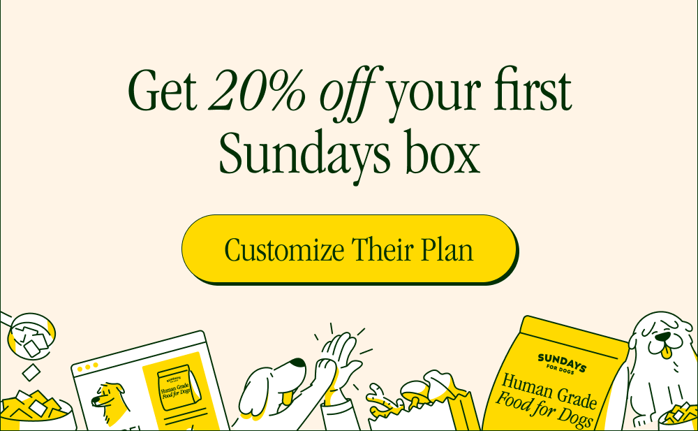 Get 20% off your first Sundays box [ Customize Their Plan ]