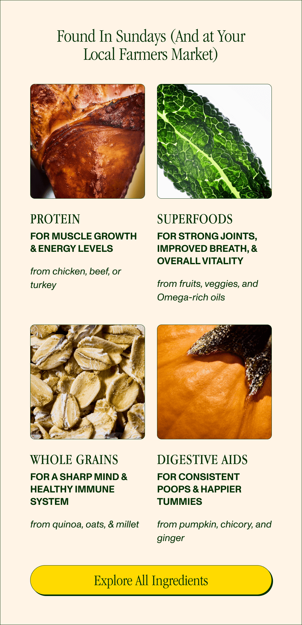 Found In Sundays (And at Your Local Farmers Market)   Beef, Chicken, & Turkey No sketchy byproducts—just the good stuff you would want to eat.  Kale  High in antioxidants, minerals, and vitamins that support immune health  Ginger  Rich in oils that can help speed digestion and decrease gas and bloating  Pumpkin Rich in soluble fiber, antioxidants, and potassium to support healthy digestion, heart, and cholesterol   [Explore All Ingredients]