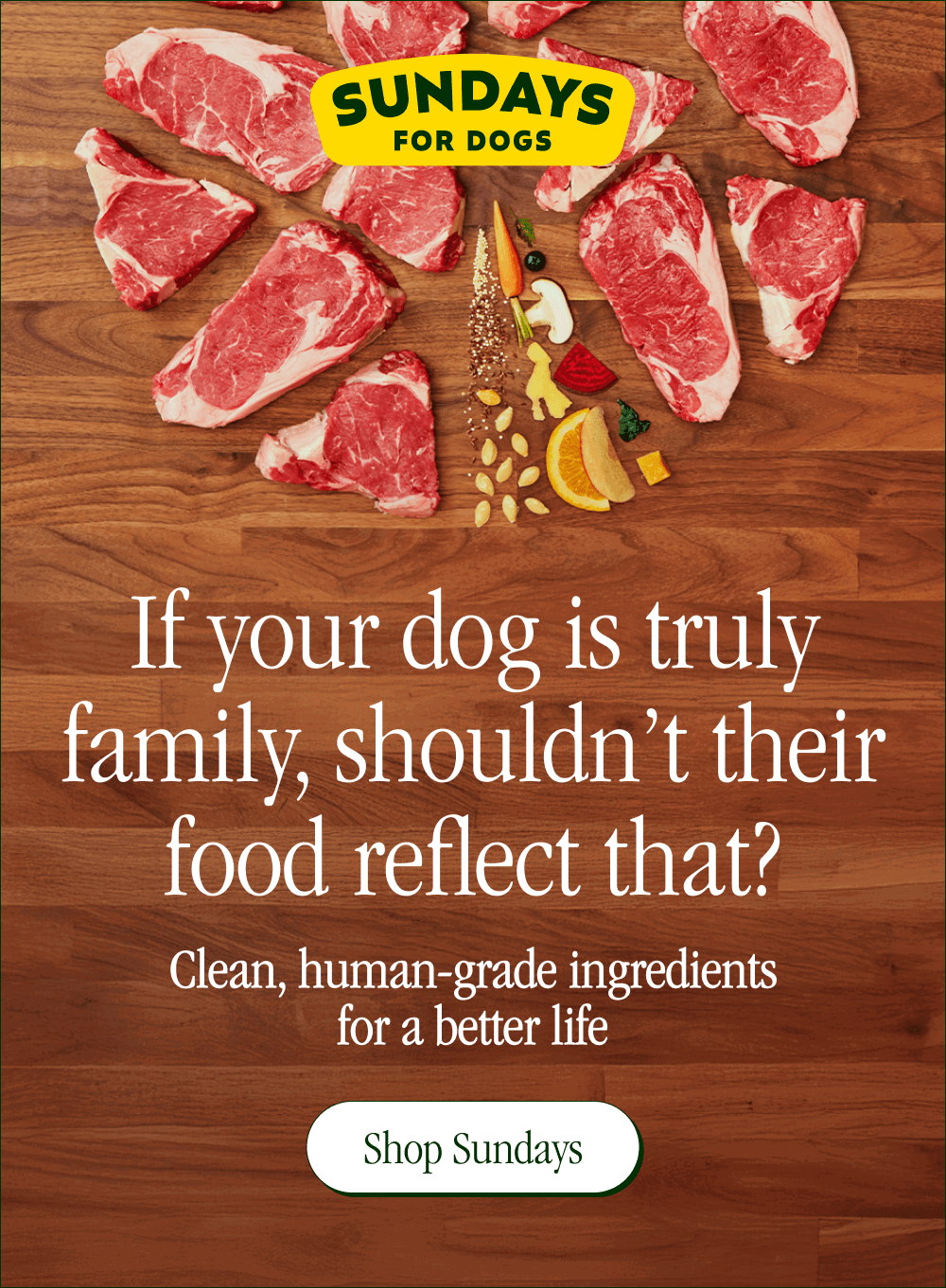 SUNDAYS FOR DOGS. If your dog is truly family, shouldn't their food reflect that? Clean, human-grade ingredients for a better life [ Shop Sundays ]