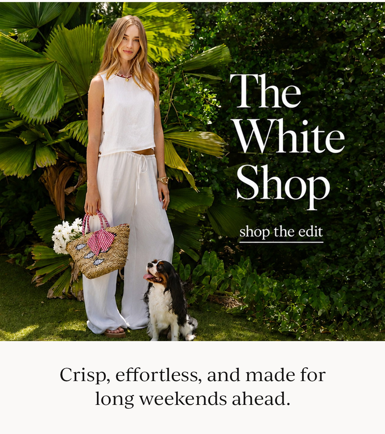 The White Shop