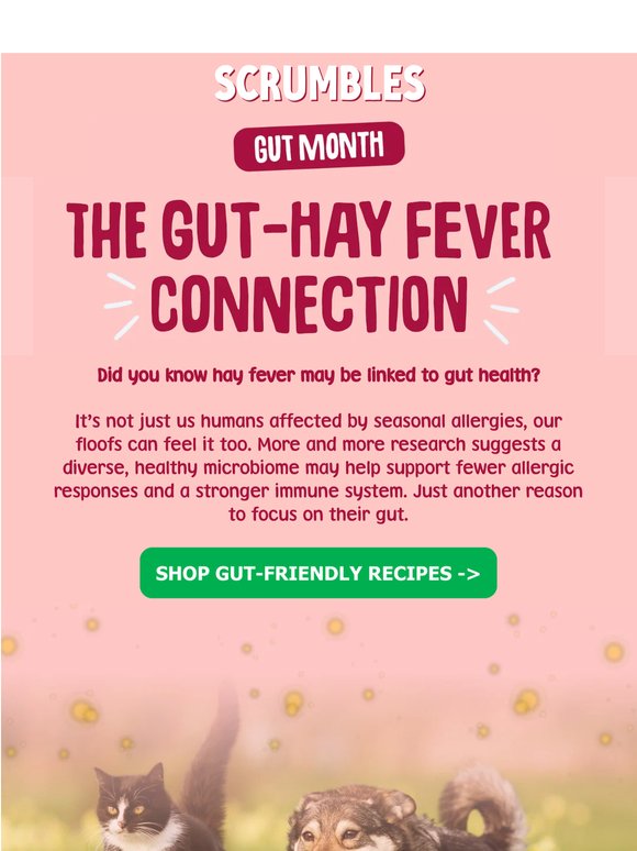 Seasonal Allergies Getting In The Way?