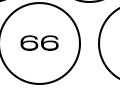 66