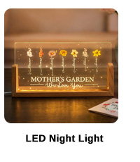LED Night Light
