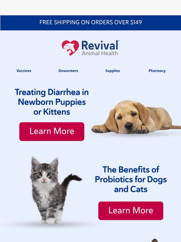 Managing Diarrhea in Puppies & Kittens