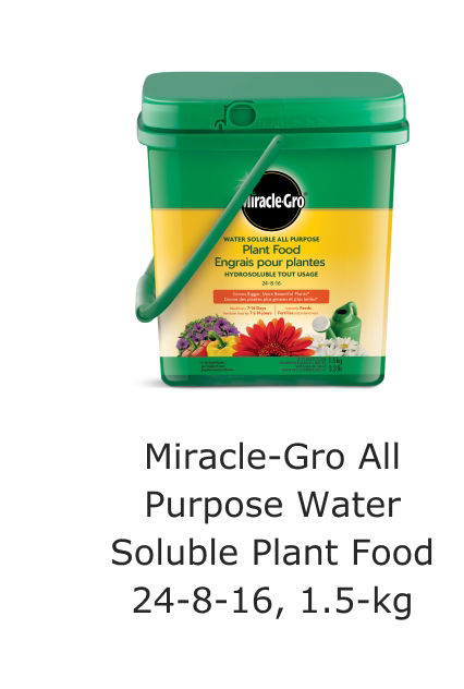 Miracle-Gro All Purpose Water Soluble Plant Food 24-8-16, 1.5-kg.