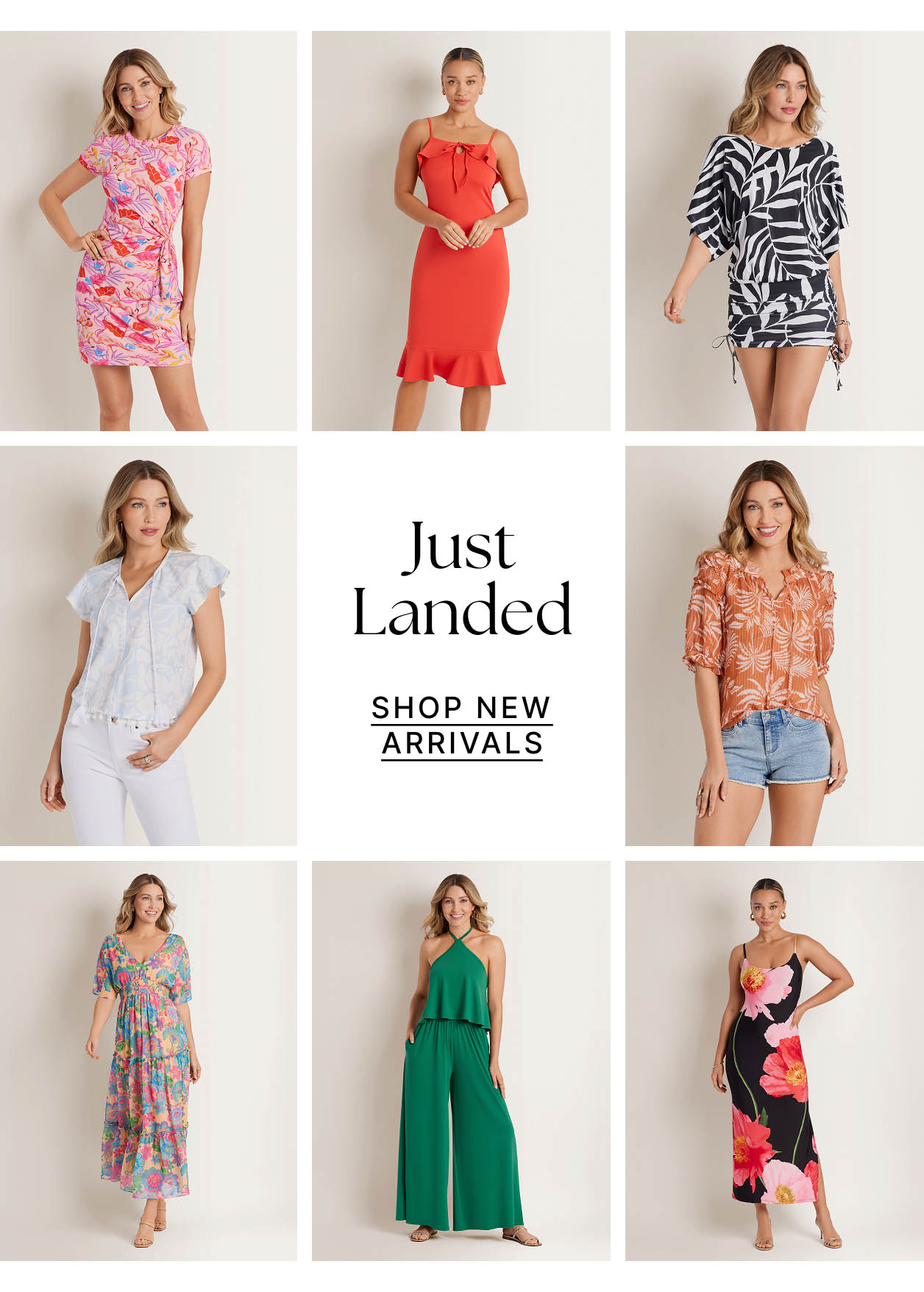 Just Landed