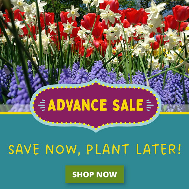 Save now plant later